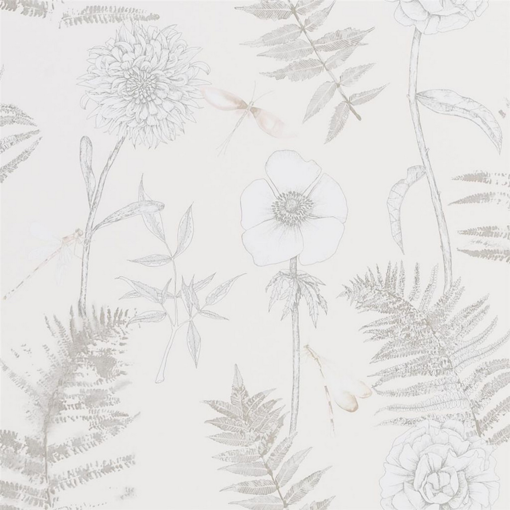 Acanthus Wallpaper Pdg1022 By Designers Guild In Ivory Natural